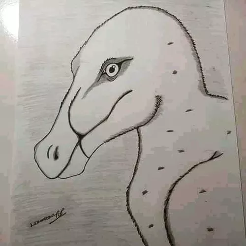 Desenho Realista De Fotografia E Animais A Mão S/ Moldura A4