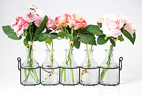 Jarrón De Flores De Vidrio 5pc Con Soporte De Metal, Los Mej