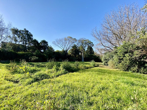 Imagen 1 de 7 de Excelente Lote Terreno En Venta En Martinez - Libertador Al Rio