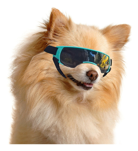 Gafas Para Perros Con Protección De Lentes Uv Para Razas Peq