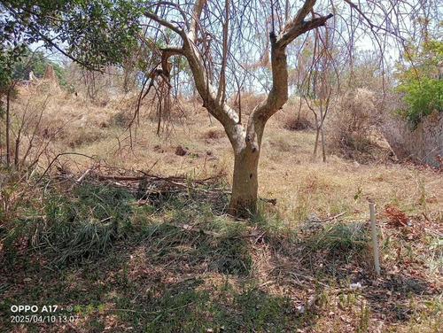 Terreno En Venta En Lomas De Cocoyoc
