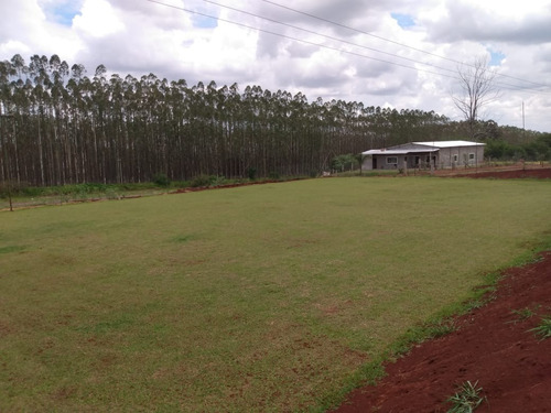 Imagem 24 de 30 de Sítio 5 Alqueires Sendo 3,5 De Pasto, Beira Da Pista, Lago,rio, Casa Sede, Casa Caseiro, Barracão, Pomar, Poço Artesiano, Caixa De Agua, Churrasqueira - St00095 - 69872057