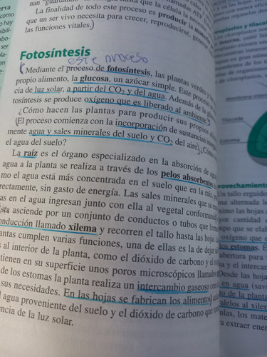 Biología 1 Doce Orcas Secundaria (Usado)
