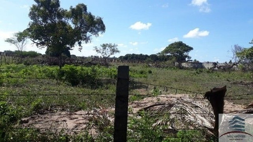 Imagem 10 de 14 de Granja A Venda Lagoa Do Bonfim