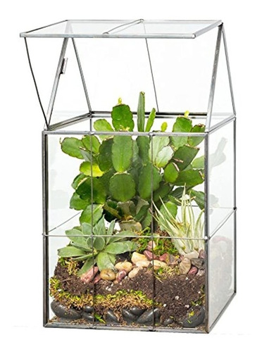 Deco Glass Terrarium Succulent Y Air Plant Con Bisagras