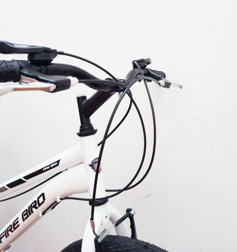 Imagen 3 de 3 de Bicicleta Fire Bird Mtb Lady 18 Velocidades Rodado 26