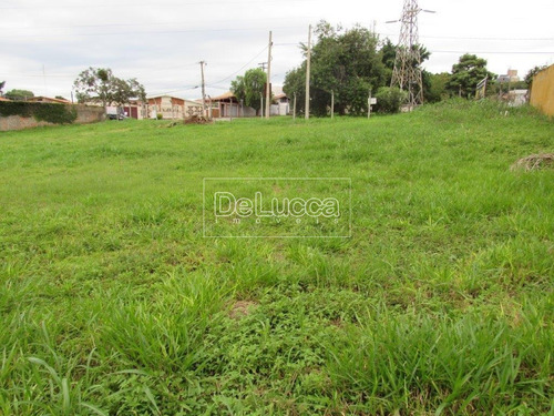Imagem 8 de 14 de Terreno Á Venda E Para Aluguel Em Jardim Das Paineiras - Te005321