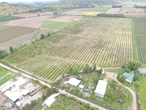 Campo De Limones Con Casa A La Venta, El Valle De Colchagua