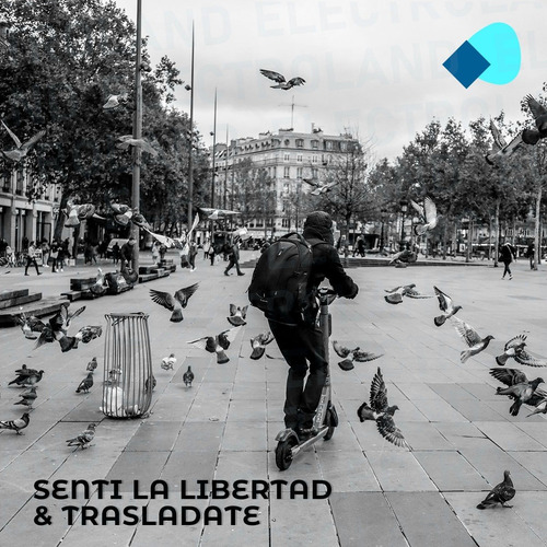 Imagen 7 de 10 de Monopatin Plegable Urbano Regulable Resistente 65kgs