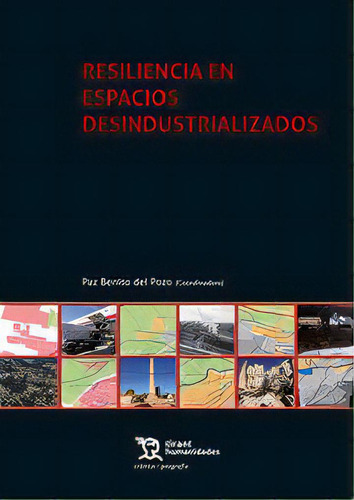 Resiliencia En Espacios Desindustrializados, De Benito Del Pozo, Paz (coord.). Editorial Tirant Humanidades, Tapa Blanda En Español