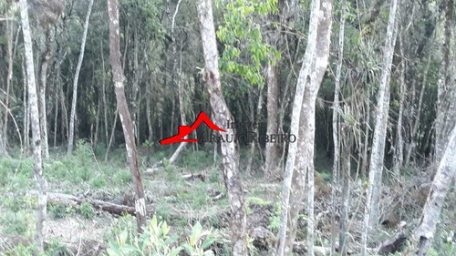 Imagem 17 de 29 de Terreno, Vila Porã, Campos Do Jordão - R$ 180 Mil, Cod: 60567 - V60567