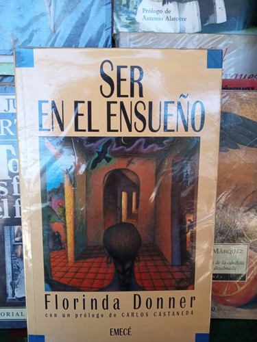 Ser En El Ensueño, Florinda Donner