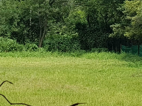 Imagen 7 de 7 de Terreno Venta Villa Allende
