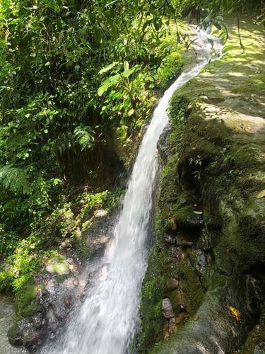 Rancho Entre Nubes Y Montañas En Cuetzalan Puebla