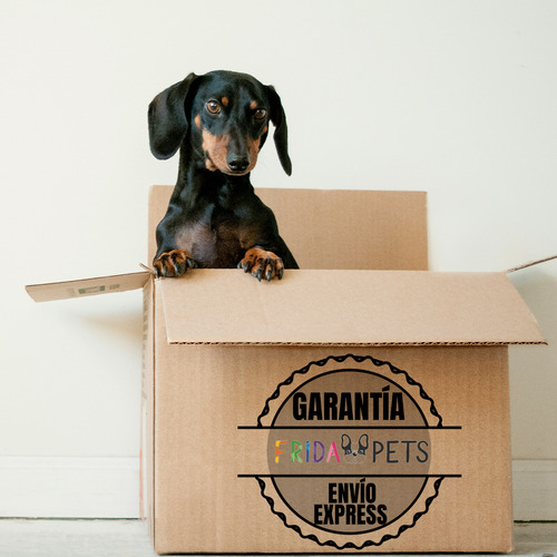 Nupec Croquetas Perro Senior 2kg Razas Pequeñas + Regalo