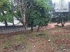 Terreno Comercial À Venda, Jardim Brasil, Guarulhos. - Te0630