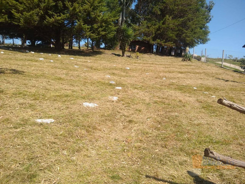 Imagem 11 de 17 de Chácara À Venda, 3090 M² Por R$ 250.000,00 - Vila Seca - Caxias Do Sul/rs - Ch0001