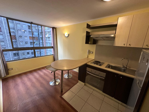 Cómodo Depto. 1d/1b, 30m2, San Isidro / Curicó, Santiago