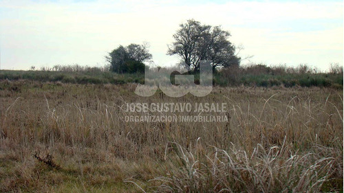Imagen 2 de 10 de 93 Has Punta Indio - Buenos Aires