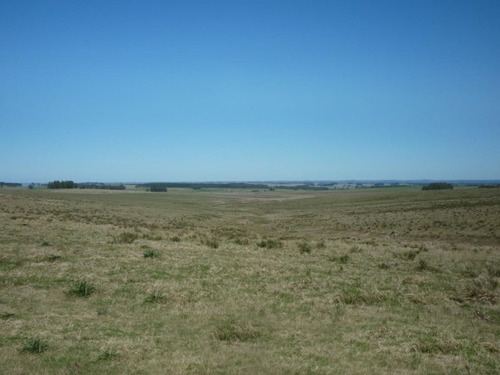Campo En Venta En Rocha Ref. 5130 (ref: Cbr-938)
