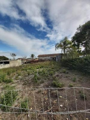 Imagem 5 de 14 de Terreno No Jardim Regina, Em Itanhaém,