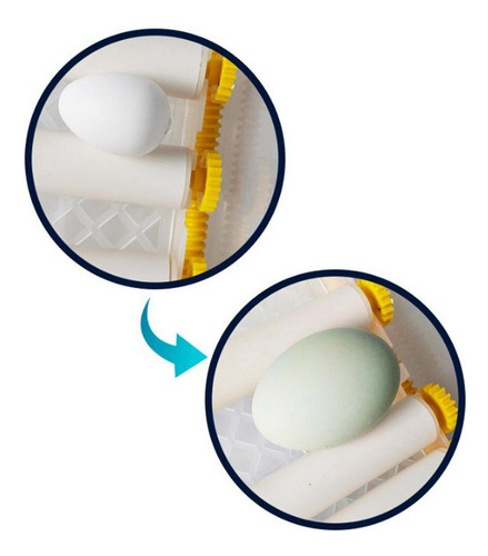 Incubadora De Huevos Incubadora Automática De 36 Huevos