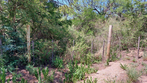Imagen 11 de 13 de Venta De Terrenos En Villa De Las Rosas Traslasierra Cordoba