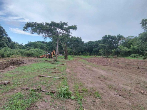 Venta Terreno 5,000 A 30,000 M² Frente Al Río Juana Moza Tuxpan Veracruz