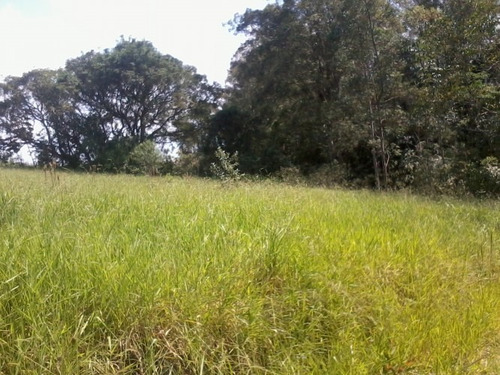 Imagem 4 de 16 de Chácara Para Venda - Centro , Guararema - 270m², 3 Vagas - 920