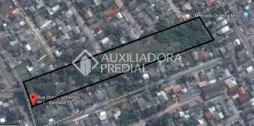 Imagem 1 de 15 de Terreno - Barnabe - Ref: 267395 - V-267395