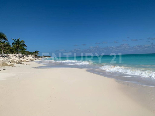 Imagen 4 de 13 de Terreno Frente Al Mar En Venta En Cancún Em0722