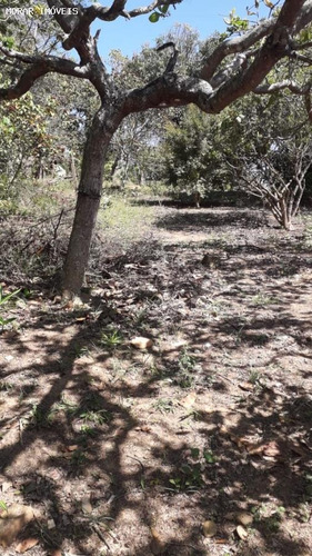 Imagem 5 de 15 de Chácara Para Venda Em Cajamar, Ponunduva, 1 Dormitório, 1 Banheiro, 1 Vaga - A1985_2-1124448