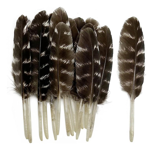 10 Plumas Naturales Manchadas 3 A 4 Pulgadas Plumas Salvaje