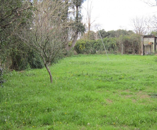 Imagen 4 de 4 de Duggan - Lote Sobre Asfalto - 1750 M2 - Subdivisible - U$s 6