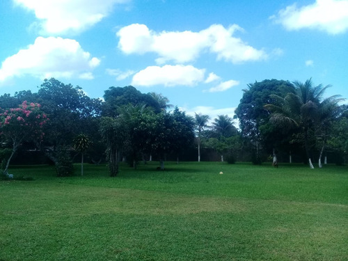 Imagem 19 de 20 de Granja 10.000m2 Ótima Para Loteamento Alto Padrão, Guabiraba, Aceito Imóvel Ou Carro - Ch00013