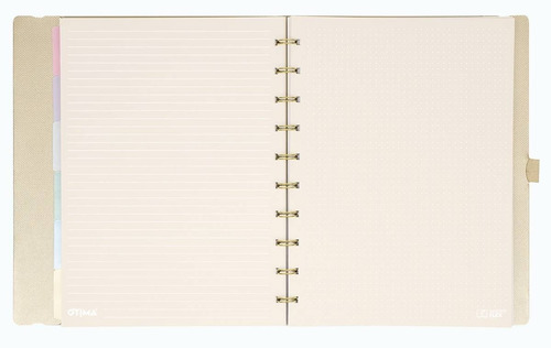 Imagem 2 de 2 de Caderno Sys Flex Coleção Metallic Dourado - Plus - Ótima