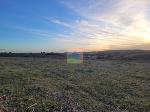 Imagen 22 de 26 de 70 Hectáreas De Campo Ganadero Corte De La Leña