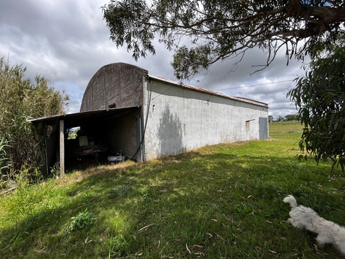 Venta Campo Empalme Olmos