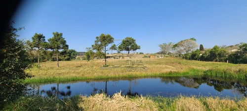 Imagem 1 de 15 de Sitio - Coqueiros - Ref: 26160 - V-26160
