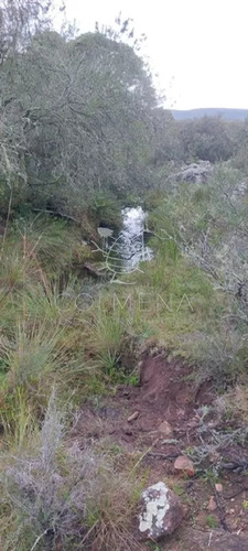 Campo En Carape Son 42 Hs 2293 M2