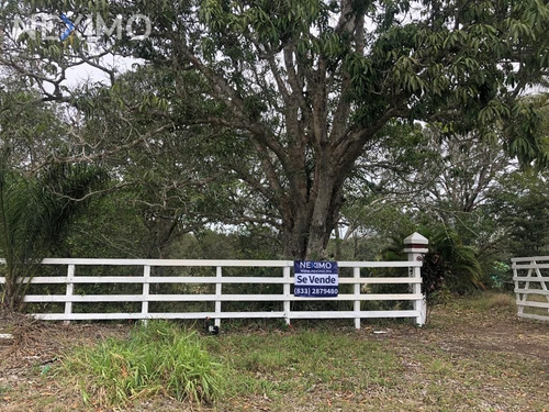 Imagen 2 de 15 de Venta De Terreno Campestre En Tampico-tuxpan
