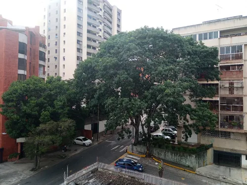 Las Palmas, Avenida Principal