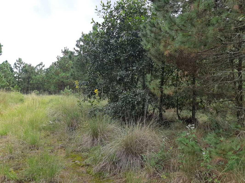 Terreno En Venta En Colonia Cuatro Palos, Singuilucan, Hidalgo
