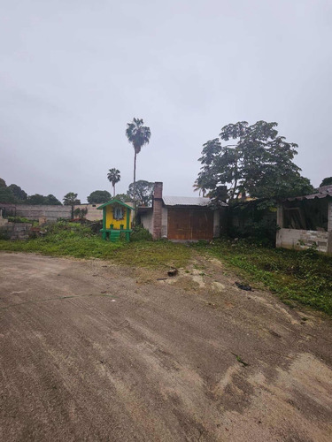 Venta De Terreno A Pie De Carretera En Yanga Veracruz