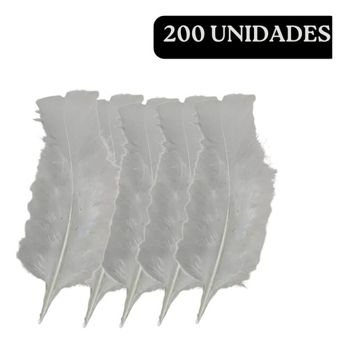 Plumas E Penas Coloridas 200 Uni Branco