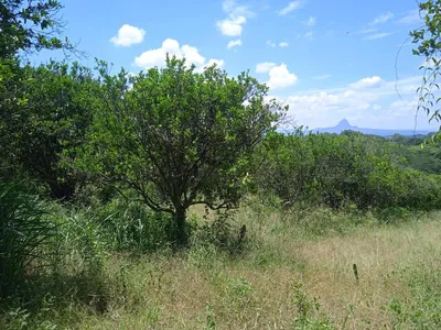 Terreno en venta