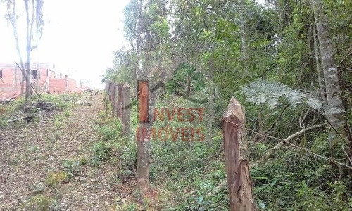 Imagem 4 de 4 de Terreno - Ref: 2940 - V-2940