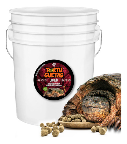 Tortuguetas Jumbo Cubeta 5kg (tortugas Mayores A 20cm)