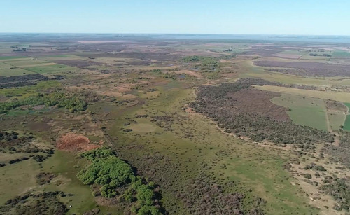 Campo - Costa Del Uruguay