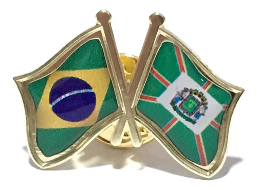 Pin Da Bandeira Do Brasil X Goiânia